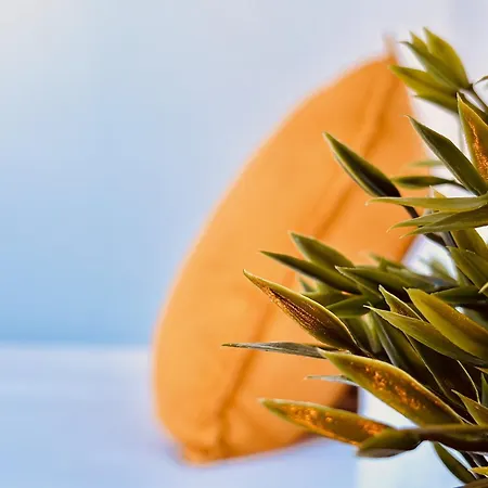 Click&guest - Canarian Essence In Gran Canaria Aldea Blanca (Las Palmas)